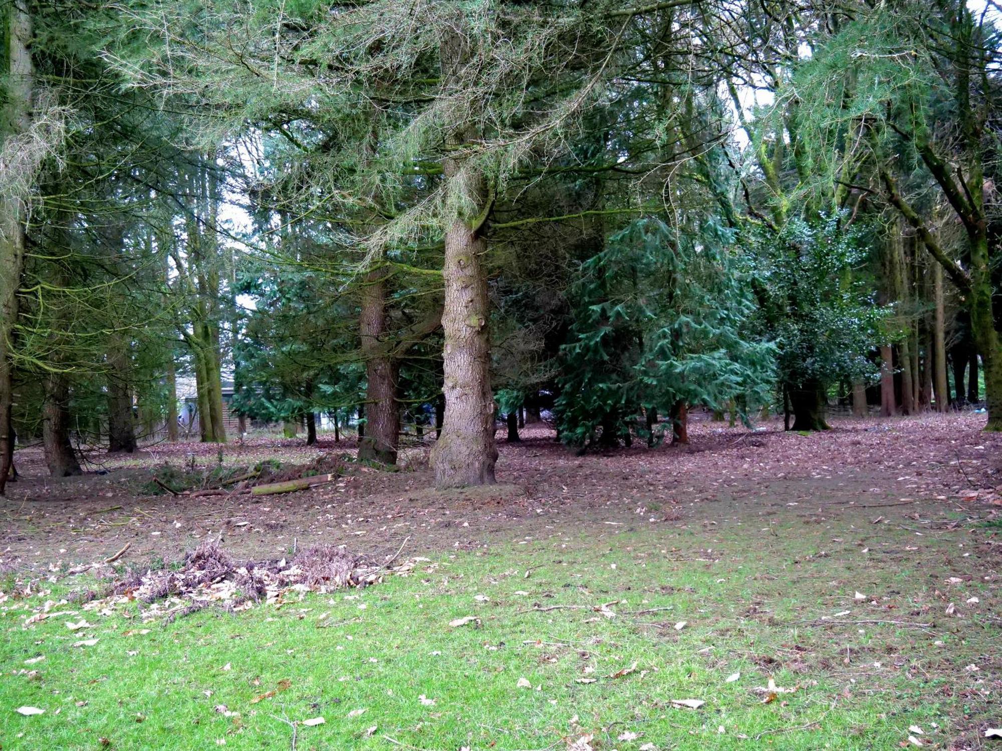 Beautiful Cottage In Brentwood Kelvedon Hatch المظهر الخارجي الصورة